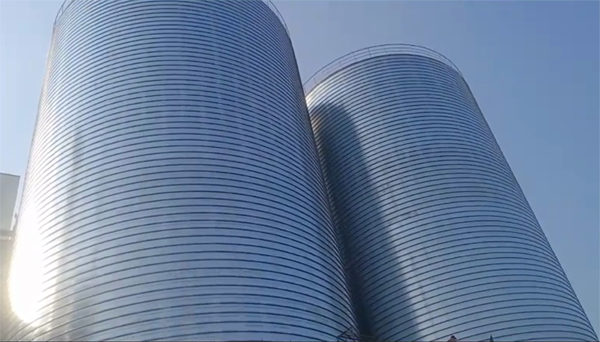 尉氏2座混凝土高架卷板仓